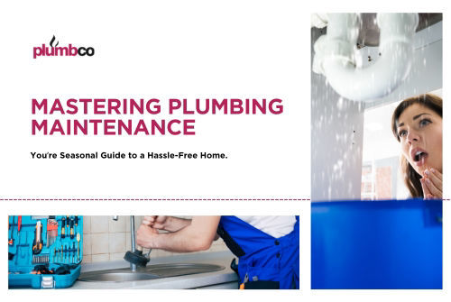 Mastering Plumbing Maintenance